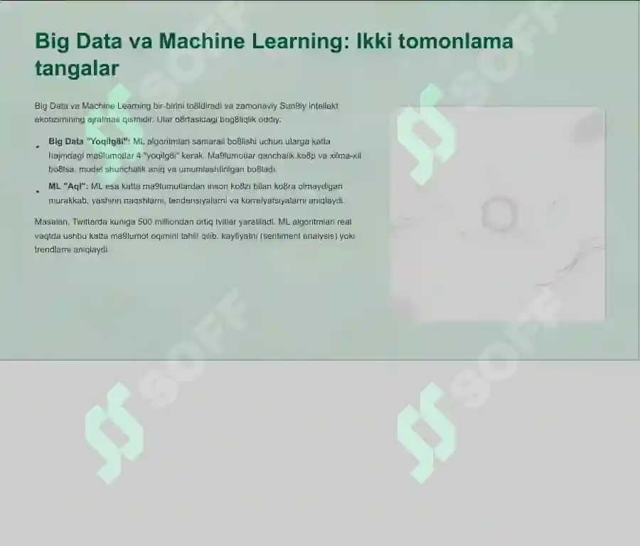 Big Data va Machine Learning