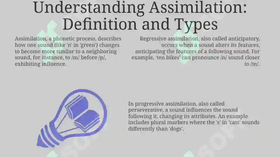 Understanding Assimilation: Definition and Types