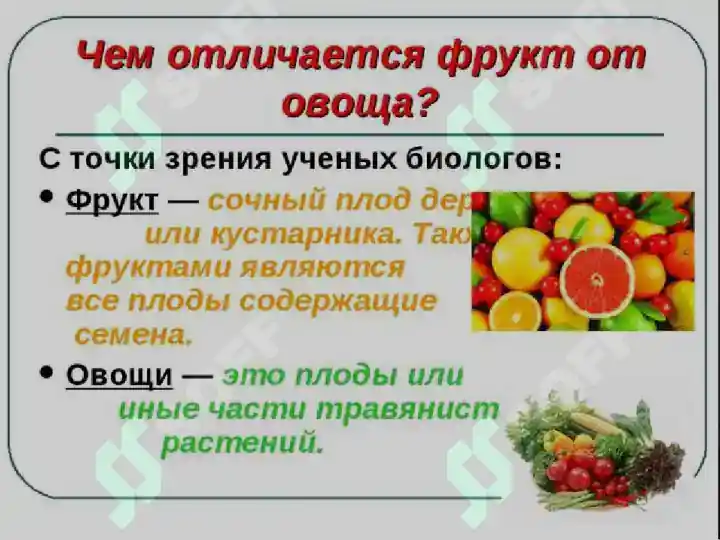 Matn Asosida Tahminan Meva Va Sabzavot Tavsifi matn-asosida-tahminan-meva-va-sabzavot-tavsifi