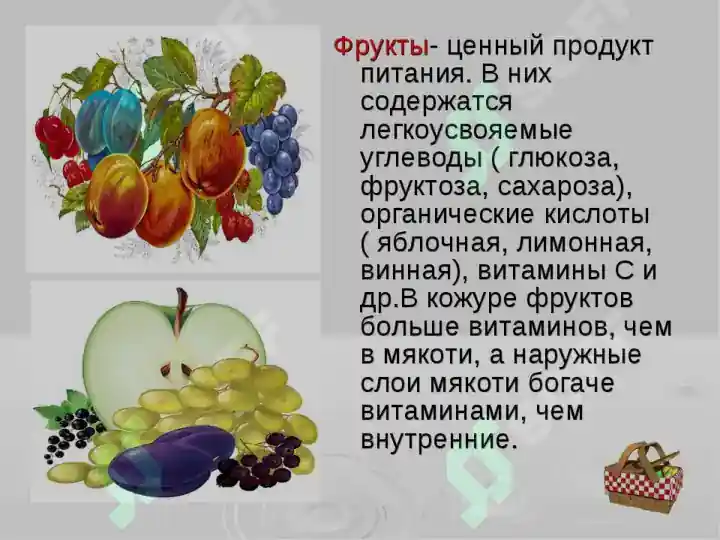 Matn Asosida Tahminan Meva Va Sabzavot Tavsifi Matn Asosida Tahminan Meva Va Sabzavot Tavsifi