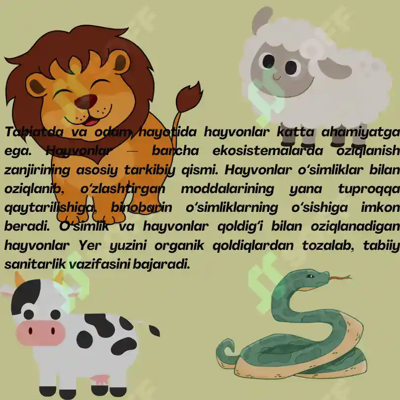 Multik Hayvonlar Rasmi Hayvonlar haqida ma'lumotlar