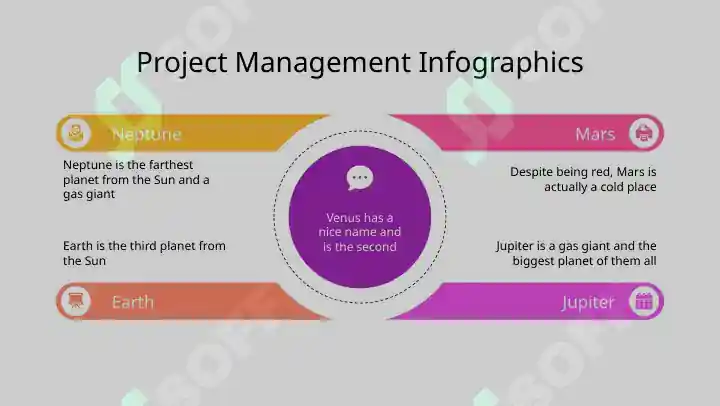 Project Management Infographics