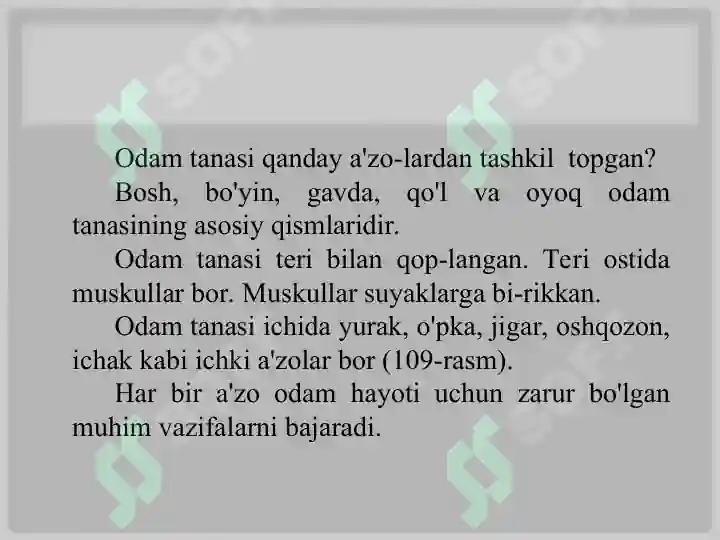 Odam Rasmlari Odam tanasining shakllari