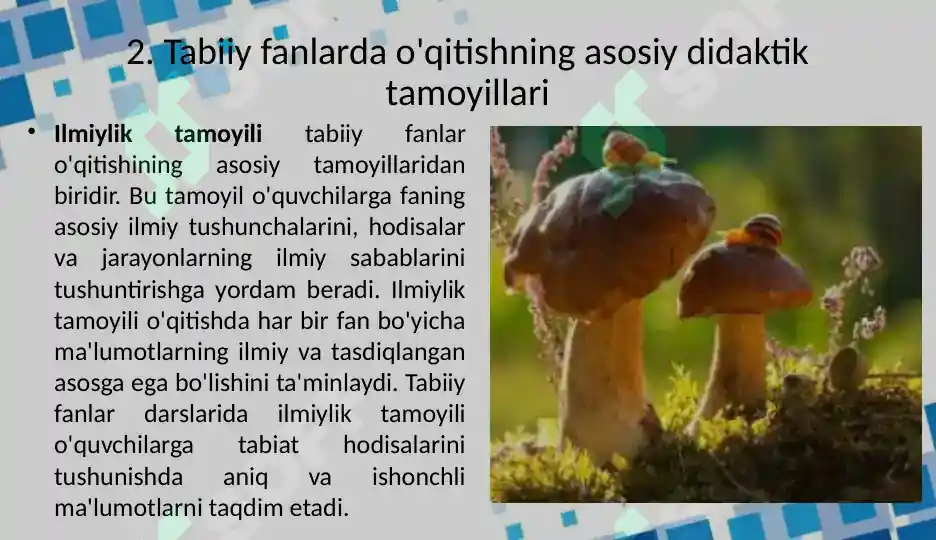 Fanlar Rasm Tabiiy fanlar darsliklari