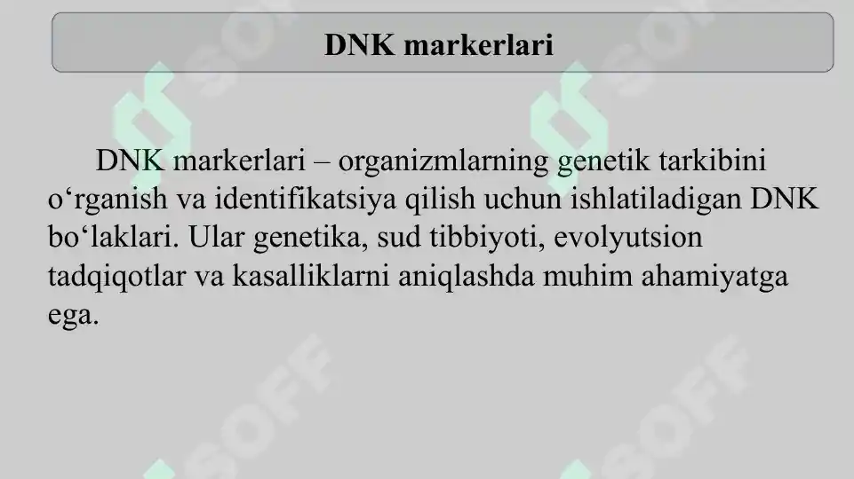 Dnk Pattern DNK markerlari