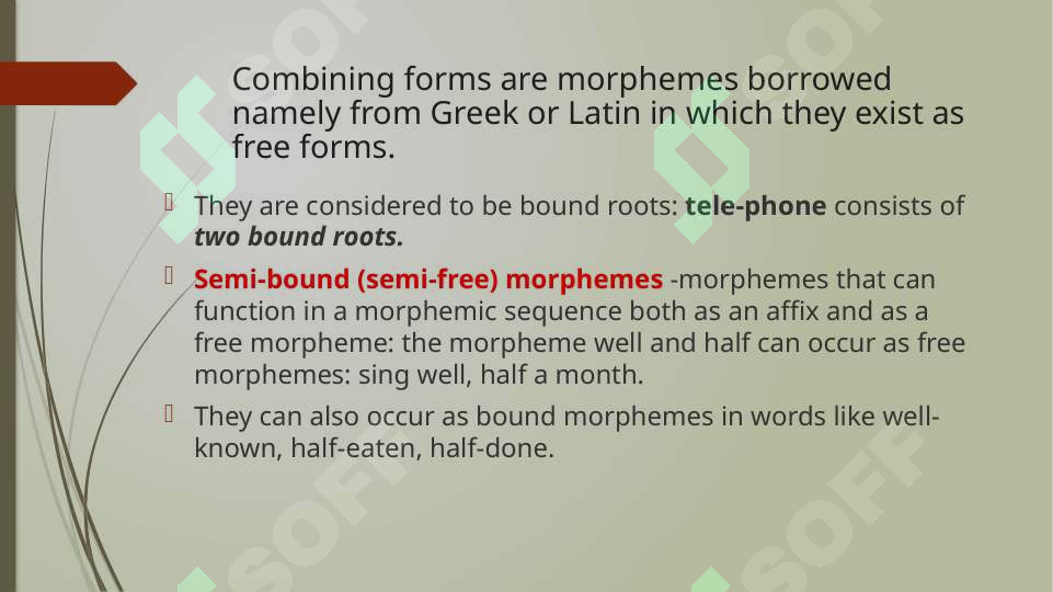 Morphemic Display The morphemic structure of the English language