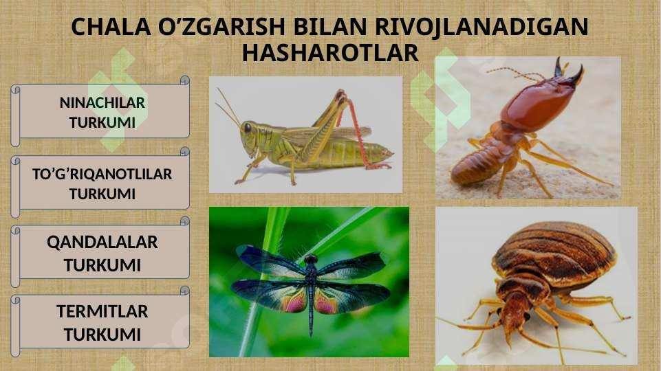 Hashorotlar Rasmi CHALA O’ZGARISH BILAN RIVOJLANADIGAN HASHAROTLAR