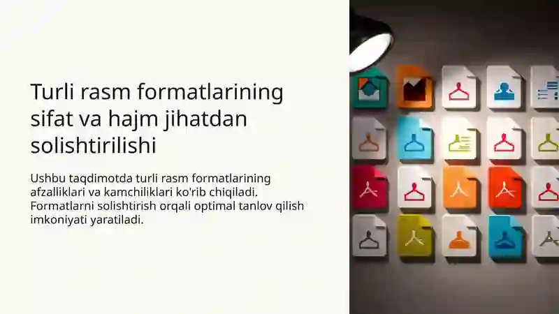 Referat Rasm Rasm formatlarining solishtirilishi