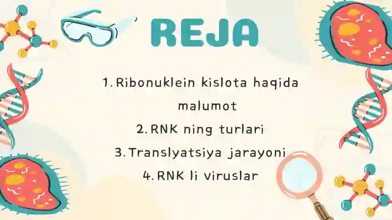 Rnk Rasmi RNK