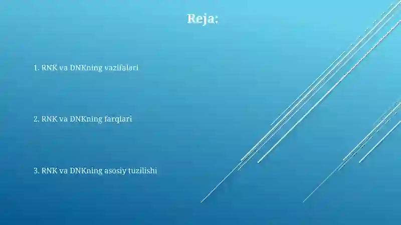 Rnk Rasmi RNK va DNK lar tuzulishi