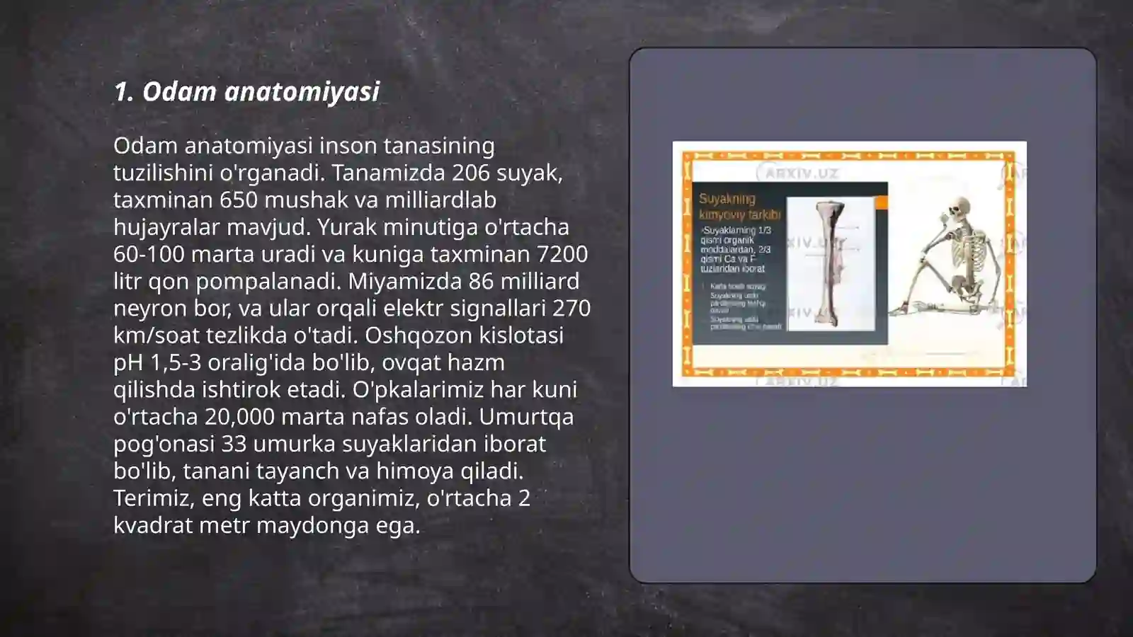 Odam Rasmlari Odam auyaglari