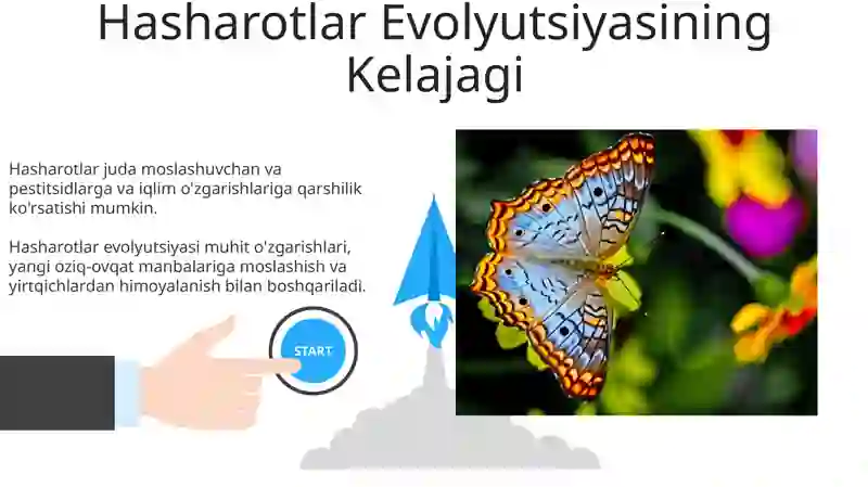 Hashorotlar Rasmi Hasharotlar evolyutsiyasi